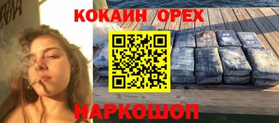 сатива Кинель