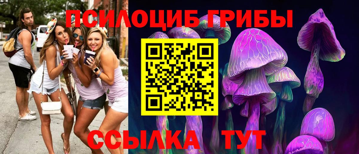 Галлюциногенные грибы Psilocybine cubensis  наркота  Комсомольск-на-Амуре  Вход с VPN 